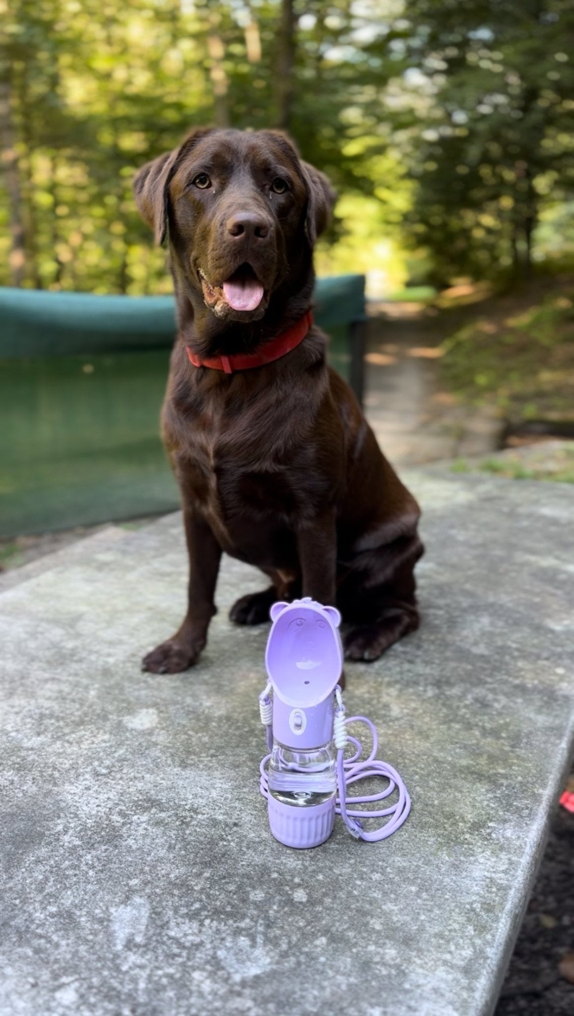 WUFF. | Hydration Pro X | Accessori - WUFF.